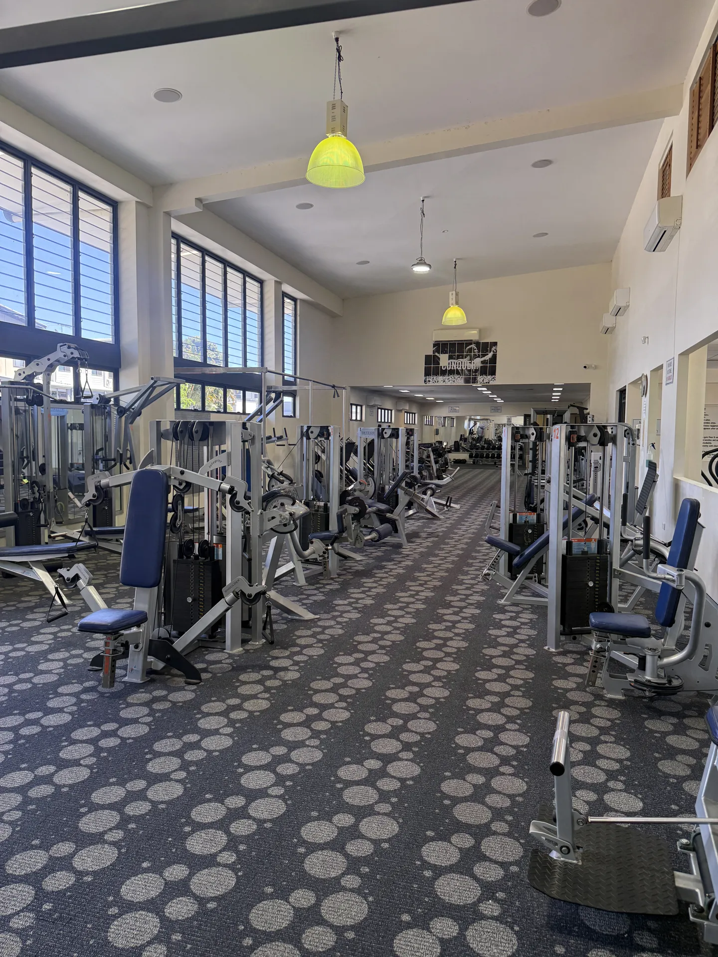 Pin-loaded strength machines at Metaform Fitness Springfield